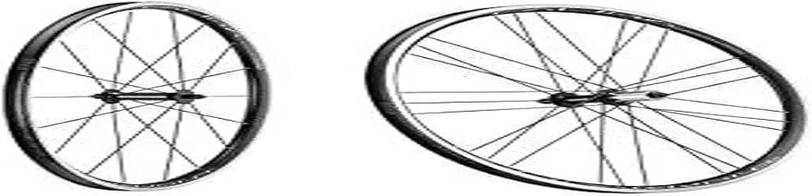 Campagnolo Calima C17 Camp, Deportes al Aire Libre, Ciclismo,Ruedas de Bicicleta, Negro, Talla Única